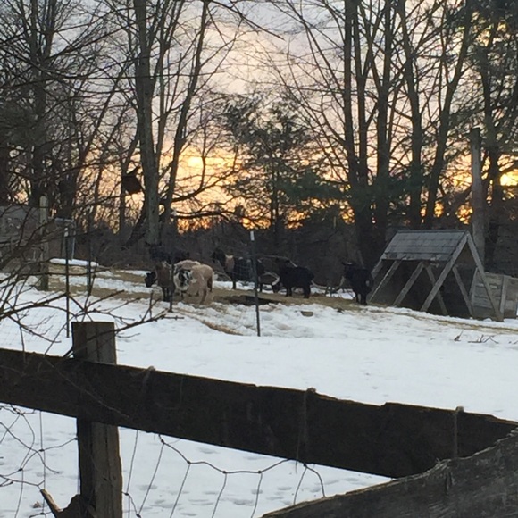 So many Styles...Too much Sauce😎 - Picture 5 of 8